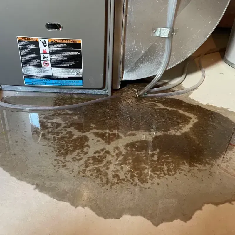 Appliance Leak Cleanup in Bloomington, CA